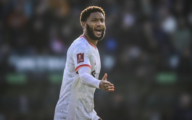 都是体育迷 都是体育迷