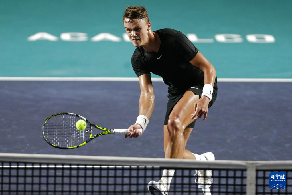 见的拼牌倾 见的拼牌倾