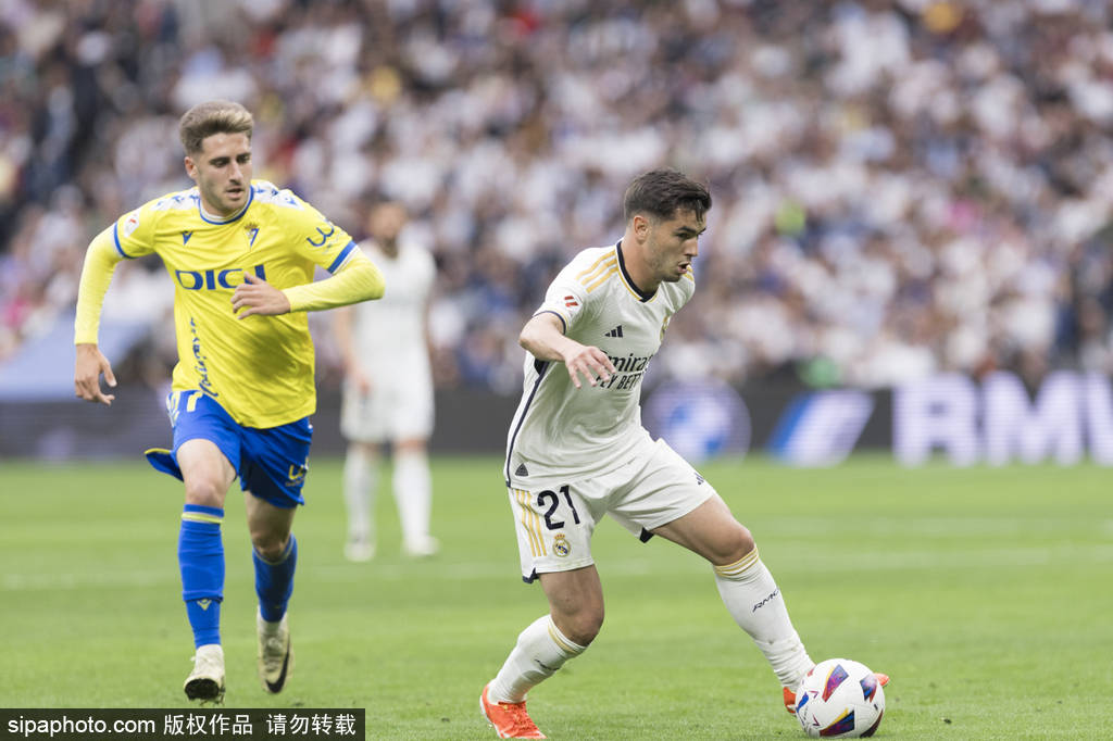 注册与阵容 注册与阵容