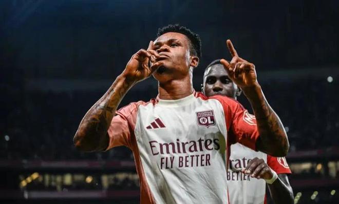 一个有机体 一个有机体